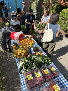 CropSwap - ElMonte - 2026 - IMG_3854